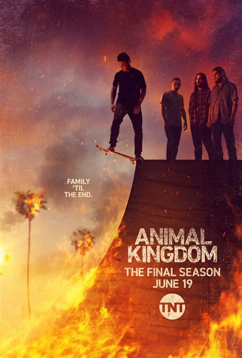 Animal Kingdom (2016) .